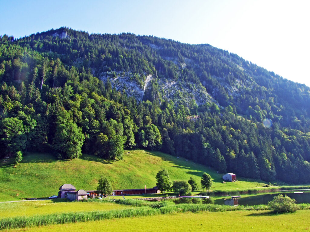 Vue sur le lac Schönenbodensee à Wildhaus en été