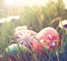 Easter eggs in grass