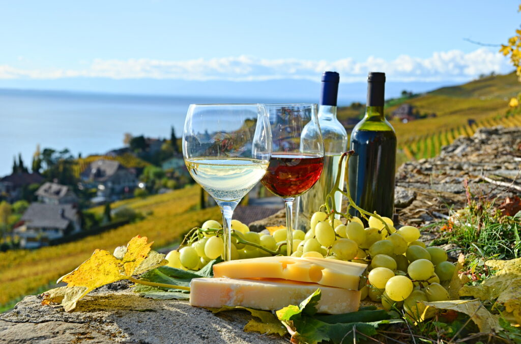 Vin et fromage posés au milieu des vignes du Lavaux