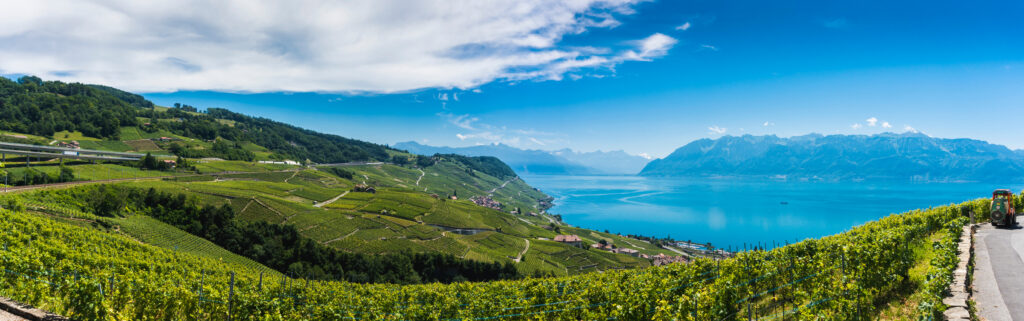 Vue panoramique sur les vignes et le lac de Genève