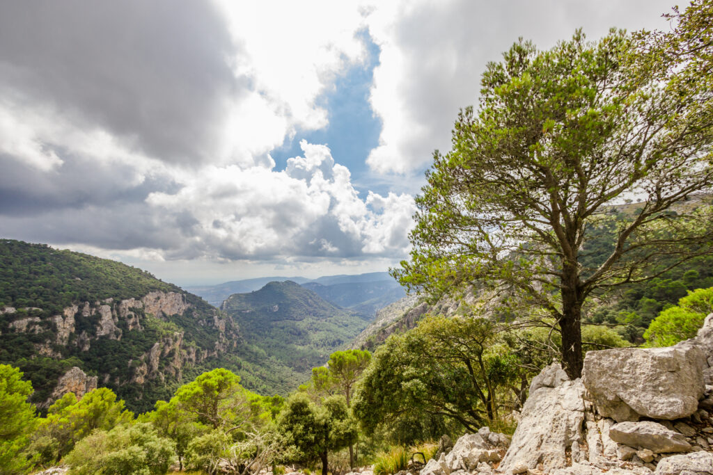 Vista de la sierra de Tramuntana de Mallorca