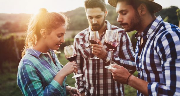 Dégustation de vin, cours ou visite de vignoble, découvrez comment ravir les amateurs de vin