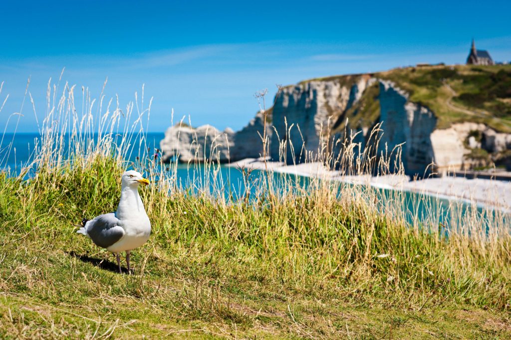 zoom-sur-les-falaises-d-etretat-un-paysage-si-unique