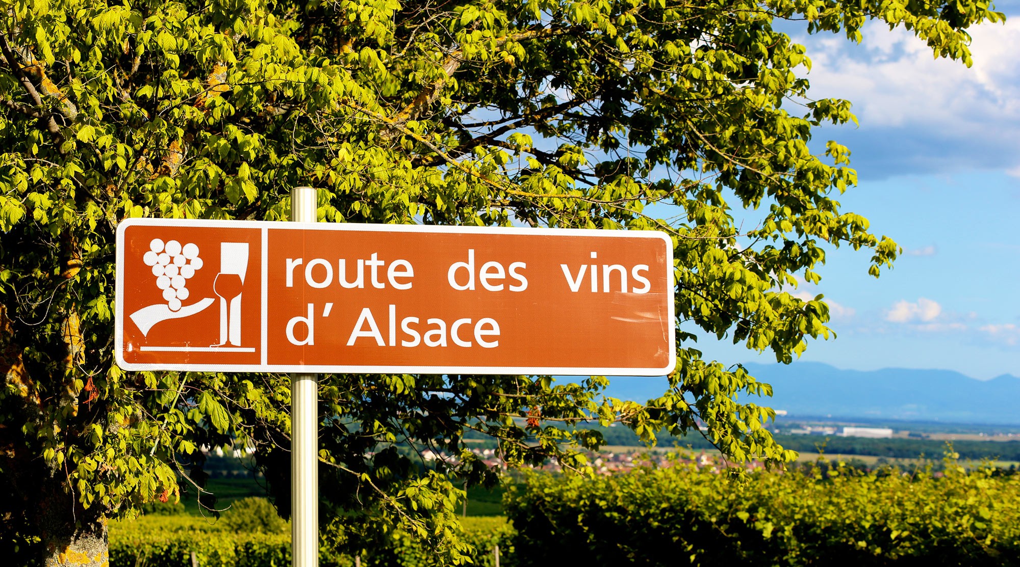 routes des vins alsace