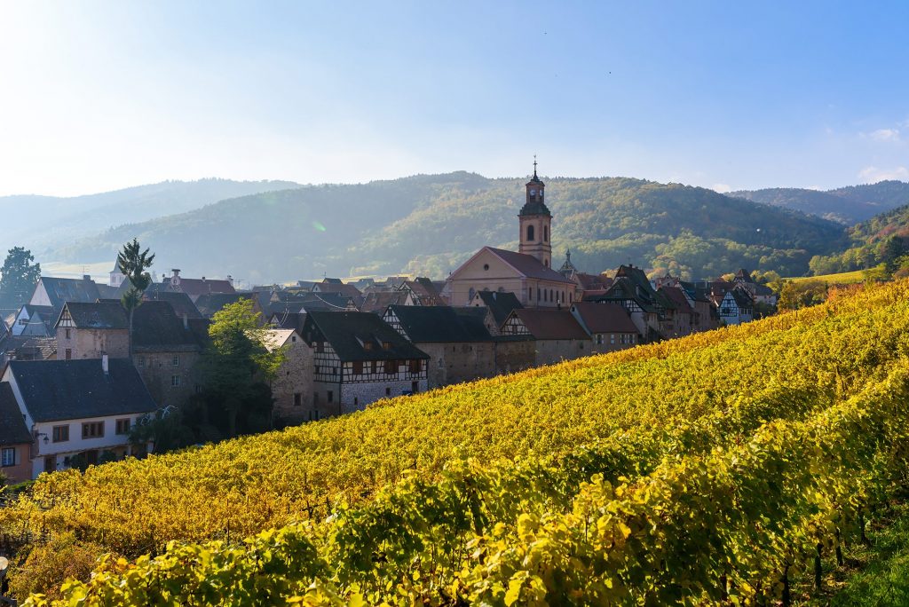 route des vins en Alsace