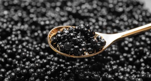 Le caviar : un véritable allié beauté