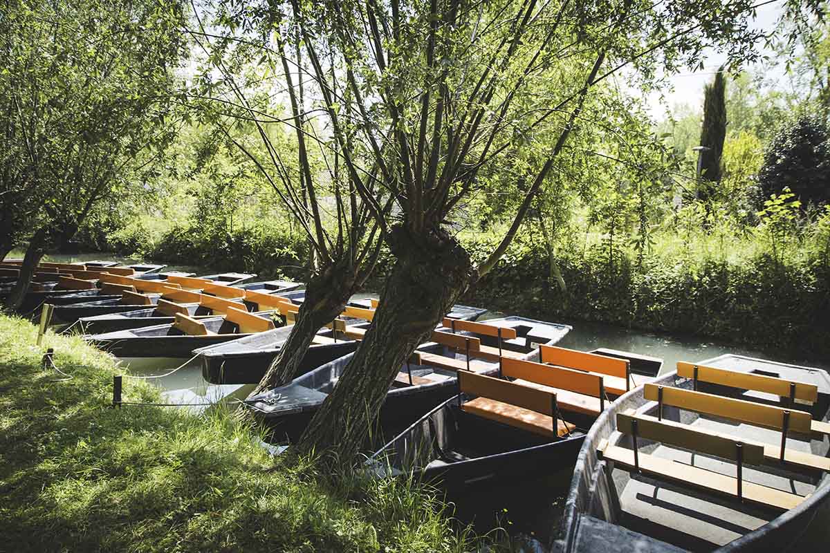 Visite Marais Poitevin