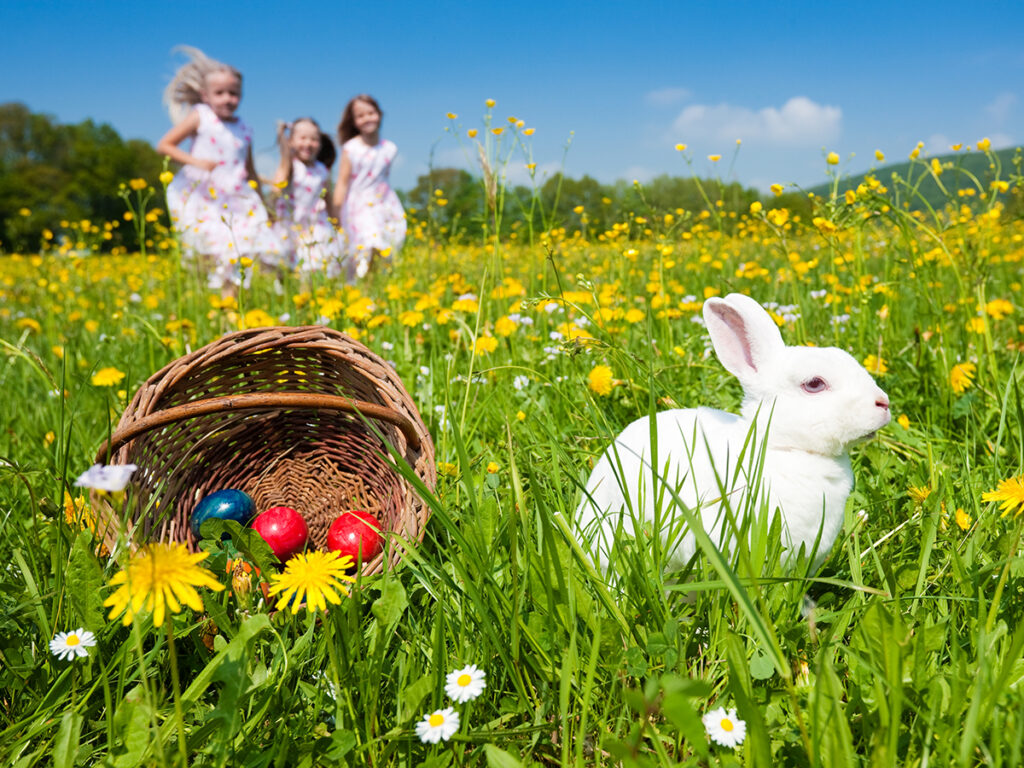 Lapin blanc à côté d’un panier d’œufs de Pâques et trois petites filles courant derrière