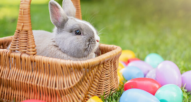 D’où vient la tradition de Pâques ?